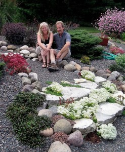 Retail Whole Succulents For Succulent Plant Nursery Scott And Sue Wald